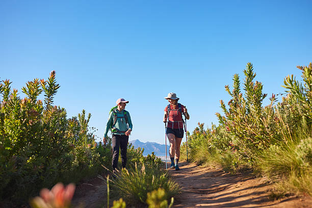  Safari Travel for Nature Lovers 